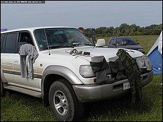    Состязания охотничьих собак