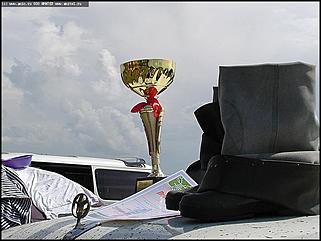    Состязания охотничьих собак