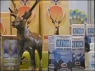    "Человек. Экология. Здоровье - 2002"