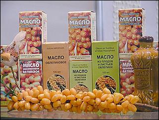    "Человек. Экология. Здоровье - 2002"