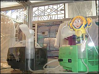    Человек. Экология. Здоровье