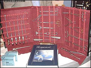    Человек. Экология. Здоровье