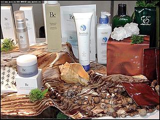    Человек. Экология. Здоровье