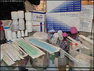    Человек. Экология. Здоровье