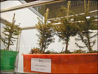    Выставка "Строительство.<br> Благоустройство. Интерьер."