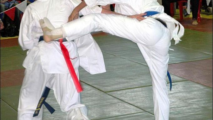    "Кубок Алтая" по Каратэ-кёкусинкай