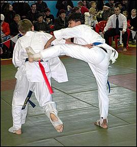    "Кубок Алтая" по Каратэ-кёкусинкай