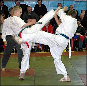    "Кубок Алтая" по Каратэ-кёкусинкай