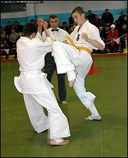    "Кубок Алтая" по Каратэ-кёкусинкай