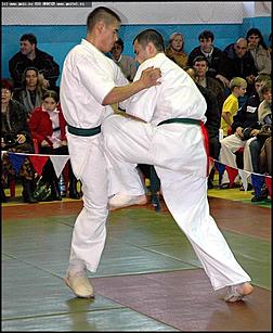    "Кубок Алтая" по Каратэ-кёкусинкай