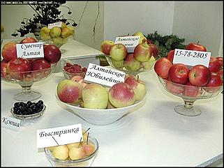    Визит полпреда президента в СФО Анатолия Квашнина