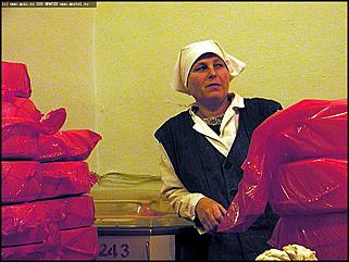    Первое выездное заседание трехсторонней комиссии по урегулированию социально-трудовых отношений и "Выездной день охраны труда"