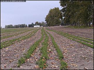    Первое выездное заседание трехсторонней комиссии по урегулированию социально-трудовых отношений и "Выездной день охраны труда"