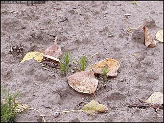    Первое выездное заседание трехсторонней комиссии по урегулированию социально-трудовых отношений и "Выездной день охраны труда"
