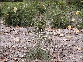    Первое выездное заседание трехсторонней комиссии по урегулированию социально-трудовых отношений и "Выездной день охраны труда"