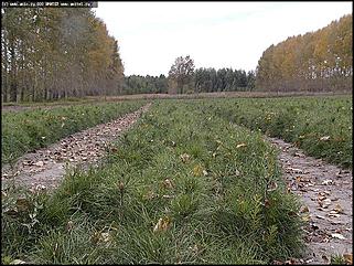    Первое выездное заседание трехсторонней комиссии по урегулированию социально-трудовых отношений и "Выездной день охраны труда"
