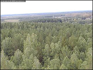    Первое выездное заседание трехсторонней комиссии по урегулированию социально-трудовых отношений и "Выездной день охраны труда"