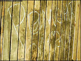    Один день "НАРОДНОГО КОНТРОЛЯ"