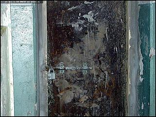    Один день "НАРОДНОГО КОНТРОЛЯ"