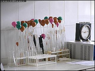    Открытие клинической больницы