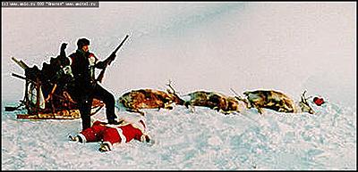    Город новогодний 2002-2003 г.