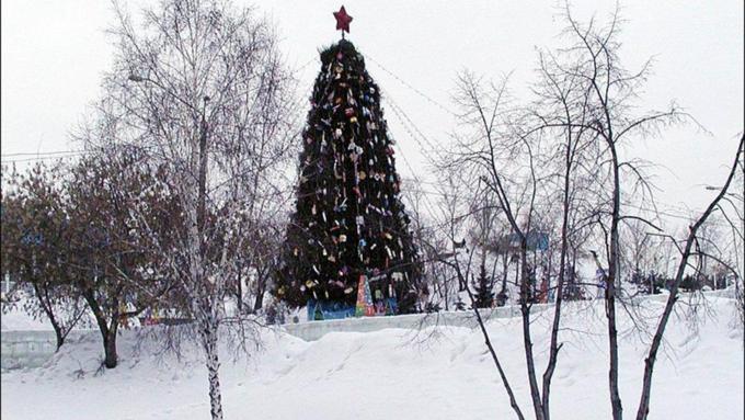    Предновогодние гуляния