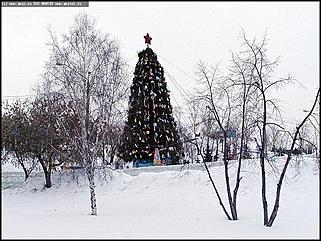    Предновогодние гуляния