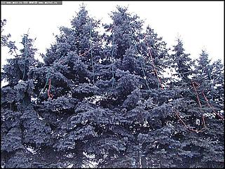    Предновогодние гуляния