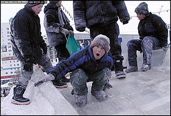    Предновогодние гуляния