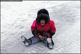    Предновогодние гуляния