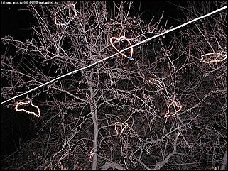    Предновогодние гуляния