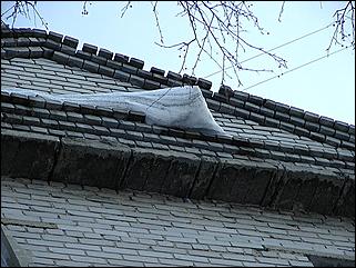    "Оттепель в Барнауле /03.01.2002/"