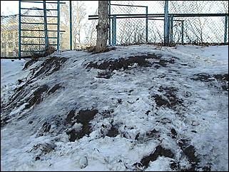    "Оттепель в Барнауле /03.01.2002/"