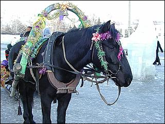    "Оттепель в Барнауле /03.01.2002/"