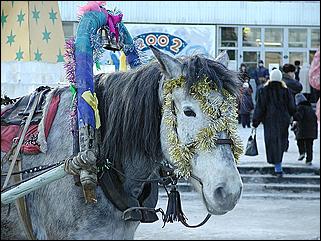    "Оттепель в Барнауле /03.01.2002/"