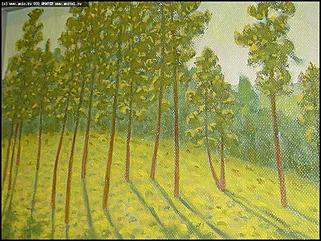    Выставка "От целины до наших дней"