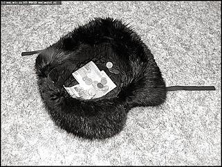    Что вы знаете о пенсионной реформе?