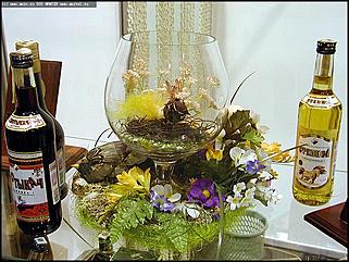    "Торг-Фуд 2003" и "Продлето 2003"