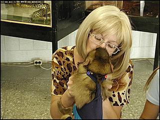    Выставка "Мир рептилий"