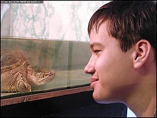    Выставка "Мир рептилий"