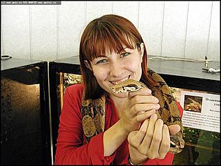    Выставка "Мир рептилий"