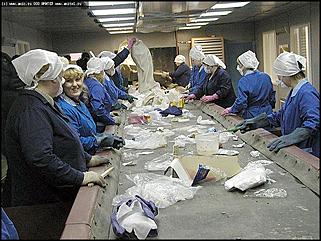    Открытие мусоросортировочного завода