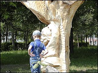    Первый фестиваль парковой скульптуры