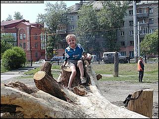    Первый фестиваль парковой скульптуры