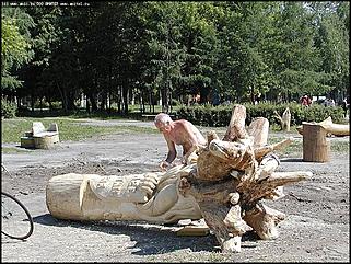   Первый фестиваль парковой скульптуры