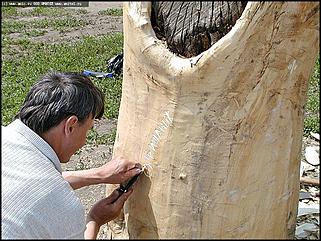    Первый фестиваль парковой скульптуры