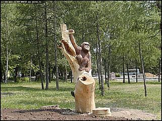    Первый фестиваль парковой скульптуры