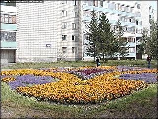    Город украшает себя