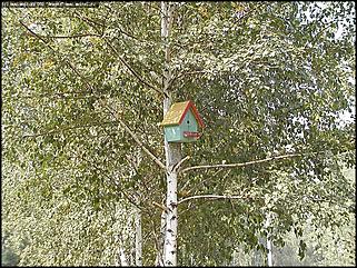    Город украшает себя