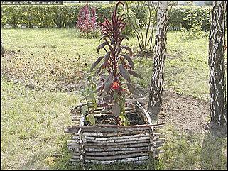    Город украшает себя